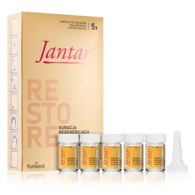 Farmona Jantar Amber Essence péče pro obnovu poškozených vlasů 5x5 ml