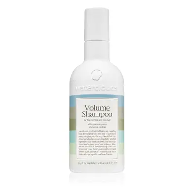 Waterclouds Volume Shampoo šampon pro objem jemných vlasů 250 ml