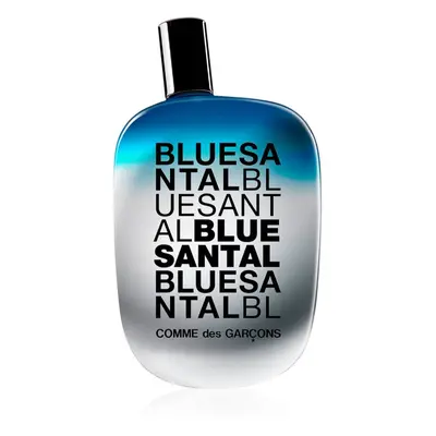 Comme des Garçons Blue Santal parfémovaná voda unisex 100 ml