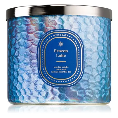 Bath & Body Works Frozen Lake vonná svíčka 411 g