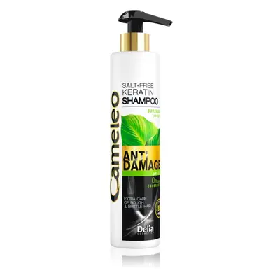 Delia Cosmetics Cameleo BB keratinový šampon pro poškozené vlasy 250 ml