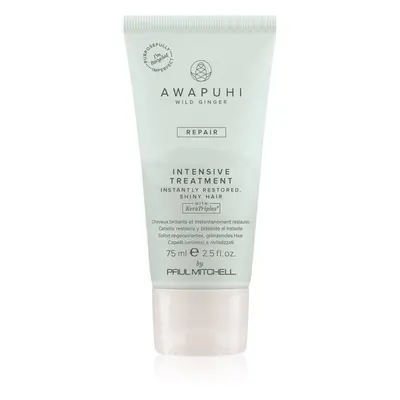 Paul Mitchell Awapuhi Wild Ginger Repair Intevsive Treatment intenzivní vlasová kúra pro poškoze