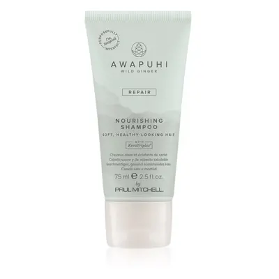 Paul Mitchell Awapuhi Wild Ginger Repair Nourishing Shampoo vyživující šampon pro obnovu a posíl