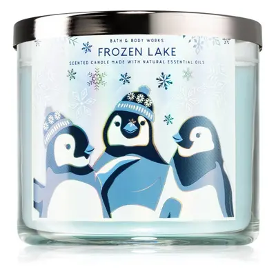 Bath & Body Works Frozen Lake vonná svíčka IV. 411 g