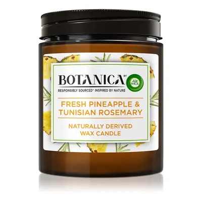 Air Wick Botanica Fresh Pineapple & Tunisian Rosemary vonná svíčka 205 g