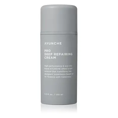 AYUNCHE Pro Deep Repairing Cream hloubkově regenerační krém pro poškozené vlasy 100 ml