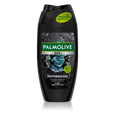 Palmolive Men Refreshing sprchový gel pro muže 2 v 1 pro muže 250 ml