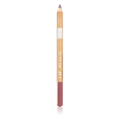 Astra Make-up Pure Beauty Lip Pencil konturovací tužka na rty natural odstín 05 Rosewood 1,1 g