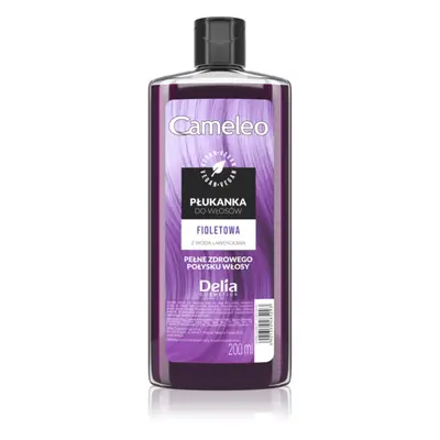 Delia Cosmetics Cameleo Flower Water tónovací barva na vlasy odstín Violet 200 ml