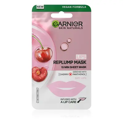 Garnier Skin Naturals Lips Replump Mask vyplňující maska na rty 5 g