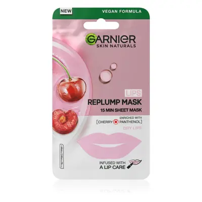 Garnier Skin Naturals Lips Replump Mask vyplňující maska na rty 5 g