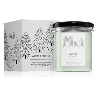 Hagi Winter Forest vonná svíčka 230 g