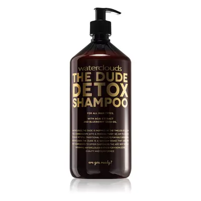 Waterclouds The Dude Detox Shampoo denní detoxikační šampon 1000 ml