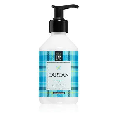 FraLab Tartan Energy koncentrovaná vůně do pračky 250 ml