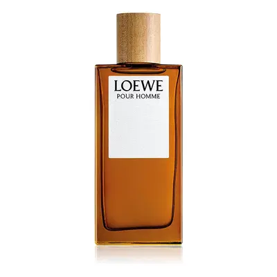 Loewe Loewe Pour Homme toaletní voda pro muže 100 ml