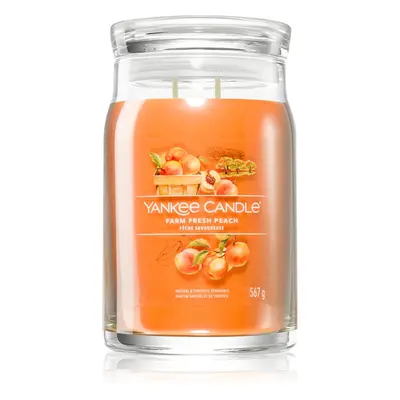 Yankee Candle Farm Fresh Peach vonná svíčka Signature 567 g