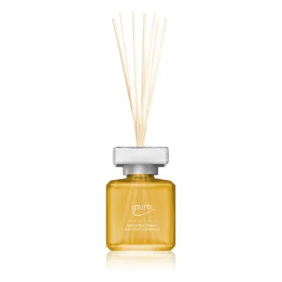 ipuro Essentials Ginger Treasure aroma difuzér 100 ml