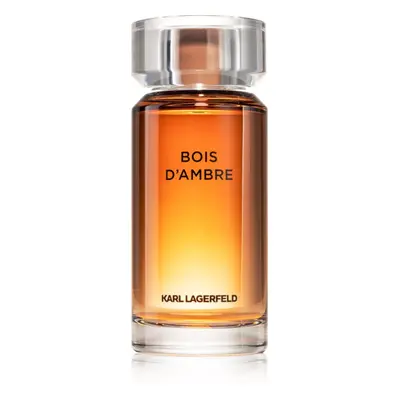 Karl Lagerfeld Bois d´Ambre toaletní voda pro muže 100 ml