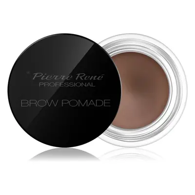 Pierre René Eyes Eyebrow pomáda na obočí odstín 01 Light Brown 4 g