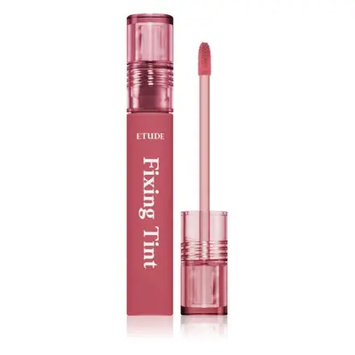 ETUDE Fixing Tint dlouhotrvající rtěnka s matným efektem odstín #07 Cranberry Plum 4 g