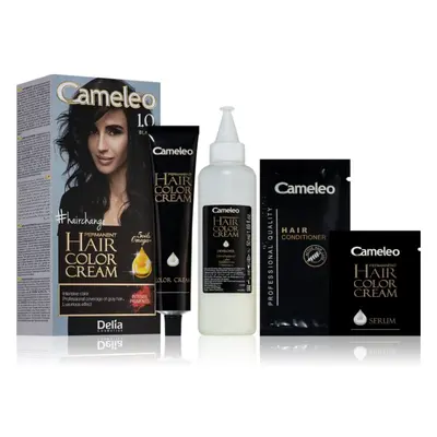 Delia Cosmetics Cameleo Omega permanentní barva na vlasy odstín 1.0 Black