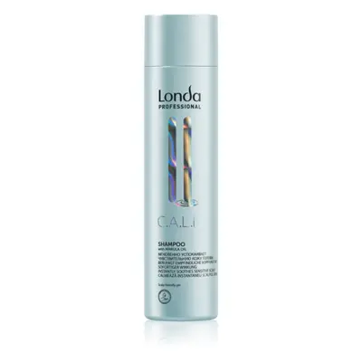 Londa Professional Calm jemný šampon pro citlivou pokožku hlavy 250 ml