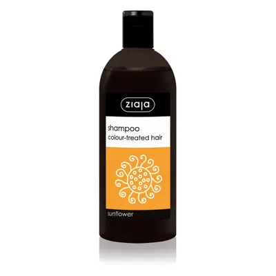 Ziaja Family Shampoo šampon pro barvené vlasy 500 ml