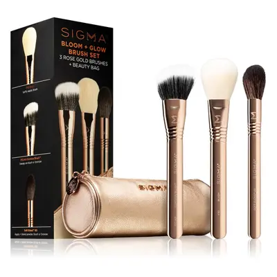 Sigma Beauty Brush Set Bloom + Glow sada štětců s pouzdrem