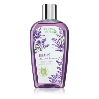 Bohemia Gifts & Cosmetics Bohemia Herbs Lavender vlasový šampon 250 ml