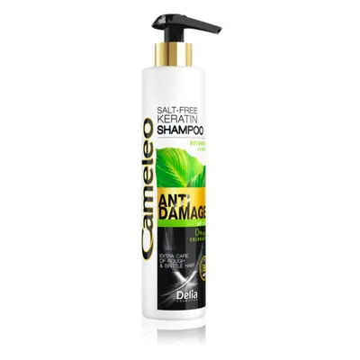 Delia Cosmetics Cameleo BB keratinový šampon pro poškozené vlasy 250 ml