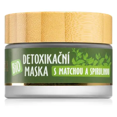 Purity Vision BIO detoxikační maska 40 ml