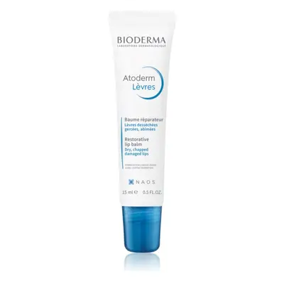 Bioderma Atoderm Balzám na rty obnovující balzám pro suché rty 15 ml