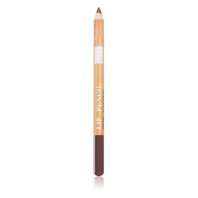 Astra Make-up Pure Beauty Lip Pencil konturovací tužka na rty natural odstín 02 Bamboo 1,1 g