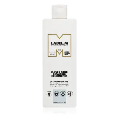 label.m M-Plex Bond Repairing Conditioner obnovující kondicionér pro krásné vlasy a pokožku 300 