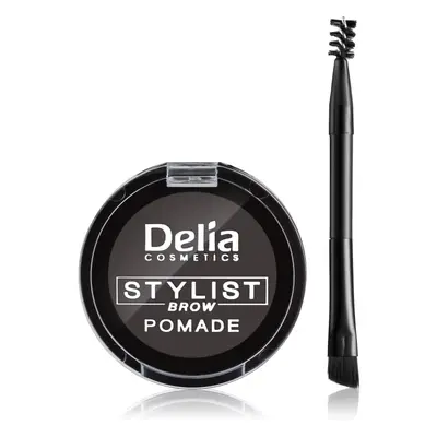 Delia Cosmetics Eyebrow Expert pomáda na obočí odstín Graphite 4 g