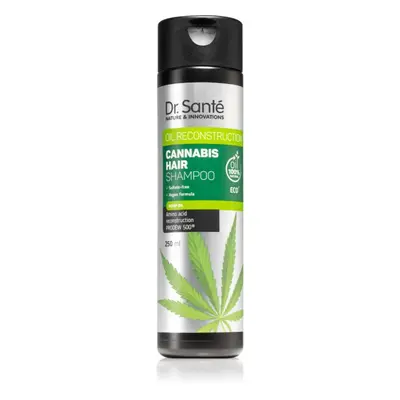 Dr. Santé Cannabis regenerační šampon s konopným olejem 250 ml