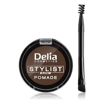 Delia Cosmetics Eyebrow Expert pomáda na obočí odstín Dark Brown 4 g