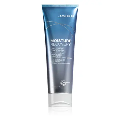 Joico Moisture Recovery hydratační kondicionér pro suché vlasy 250 ml