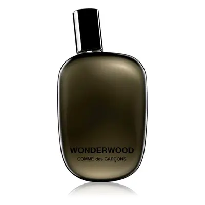 Comme des Garçons Wonderwood parfémovaná voda pro muže 50 ml