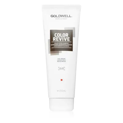 Goldwell Dualsenses Color Revive šampon pro zvýraznění barvy vlasů odstín Cool Brown 250 ml