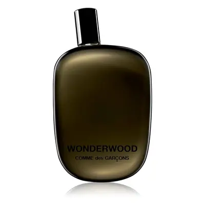 Comme des Garçons Wonderwood parfémovaná voda pro muže 100 ml