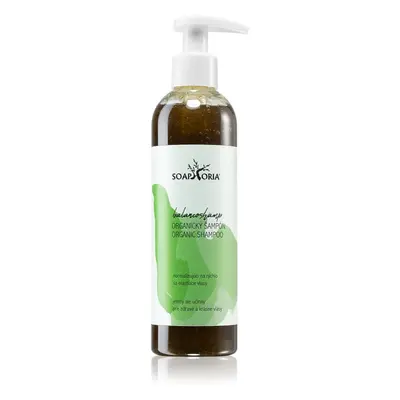 Soaphoria Hair Care Organic Shampoo tekutý organický šampon na mastné vlasy 250 ml