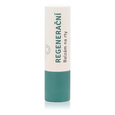 Lobey Skin Care Lip Balm regenerační balzám na rty 5 g