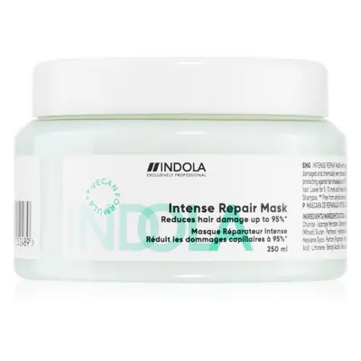 Indola Repair Intense Repair Mask posilující maska pro extrémně poškozené vlasy 250 ml