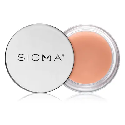 Sigma Beauty Hydro Melt Lip Mask hydratační maska na rty s kyselinou hyaluronovou odstín Hush 9,