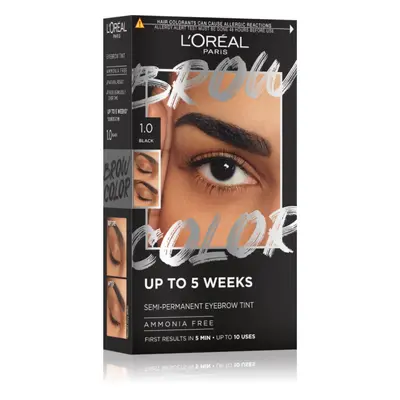 L’Oréal Paris Brow Color barva na obočí odstín 1.0 Black 1 ks