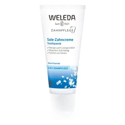 Weleda Dental Care zubní pasta s mořskou solí 75 ml