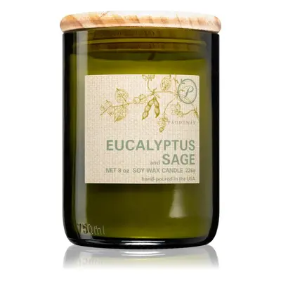 Paddywax Eco Green Eucalyptus & Sage vonná svíčka 226 g