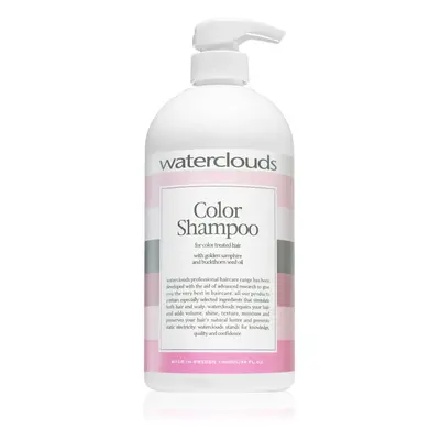 Waterclouds Color Shampoo šampon na ochranu barvy 1000 ml