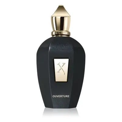 Xerjoff Ouverture parfémovaná voda unisex 100 ml